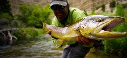 Fly Fishing Uinta Mountains